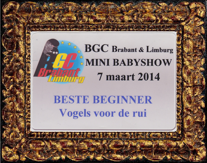 2014 BGC Brabant & Limburg Mini Baby Show - Best Beginner In Show